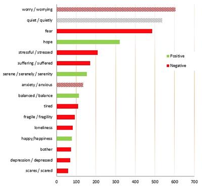 Drawing a pandemic vulnerabilities' map: The SoNAR-global Vulnerabilities Assessment digital and its output